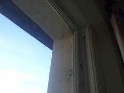 fkillineybeforeinternal 1425.jpg